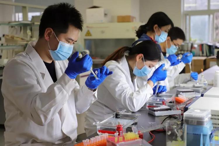抗疫| 重磅!重庆医科大学成功研发新型冠状病毒免疫检测试剂盒